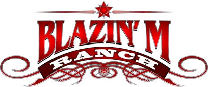 Blazin M