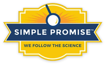Simple Promise