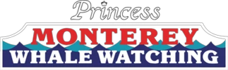 Monterey Whale Watching