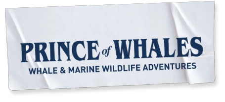 Princeofwhales