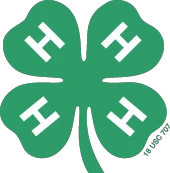 4 H