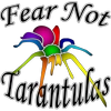 Fear Not Tarantulas