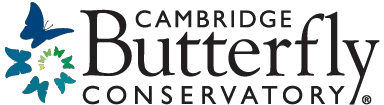 Cambridge Butterfly Conservatory