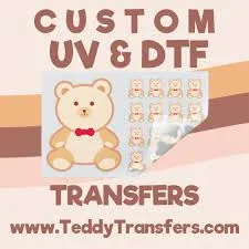 Teddy Transfers