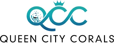 Queen City Corals