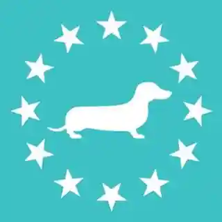 American Doxie
