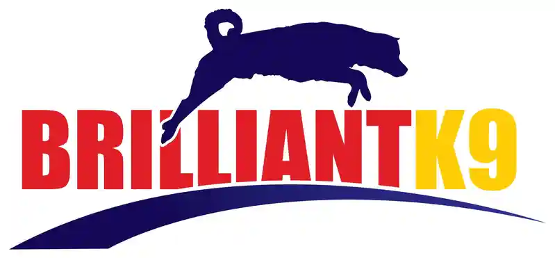 brilliantk9
