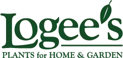 Logee'S
